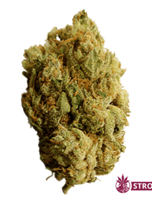 Close-up of a cannabis bud with frosty crystals and orange hairs, isolated on gray background.