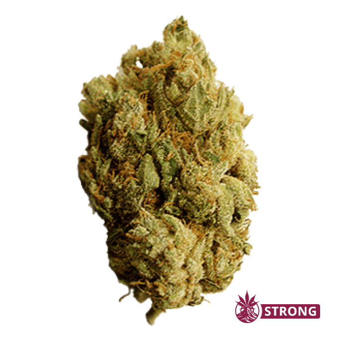 CBD-Blüten-Lava-Rock-Lemon - Volcano Premium Herbstones Close-up of a cannabis bud with frosty crystals and orange hairs, isolated on gray background.