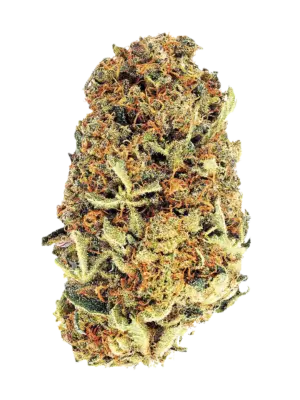 Blüten CBD Watermelon, 1gr