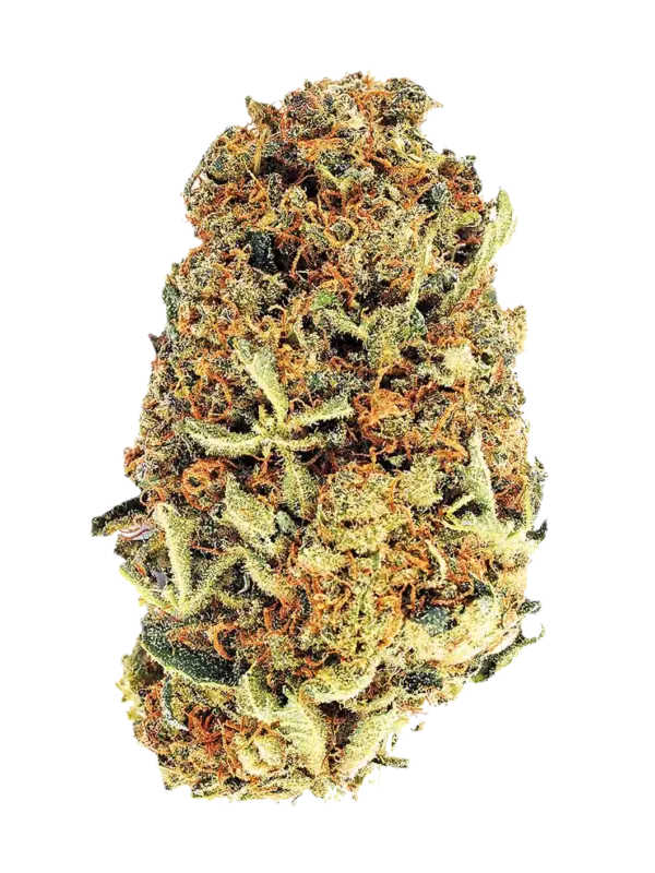 Blüten CBD Watermelon, 1gr