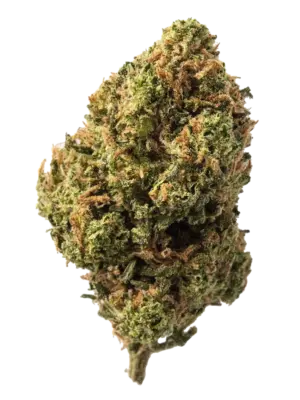 Blüten CBD Candy Kush, 1gr