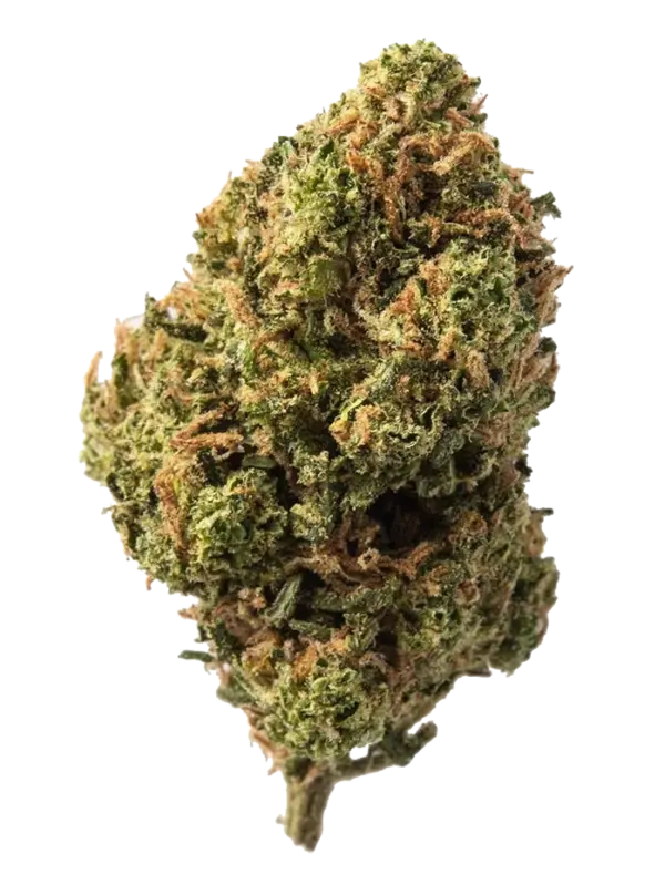 Blüten CBD Candy Kush, 1gr