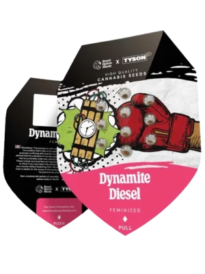 Tyson x Dynamite Diesel (3 Samen)