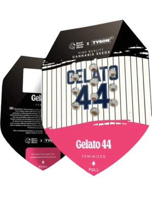 Tyson x Gelato 44 (3 Samen)