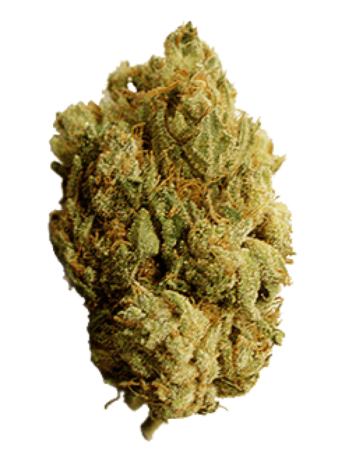 cannabis bluete