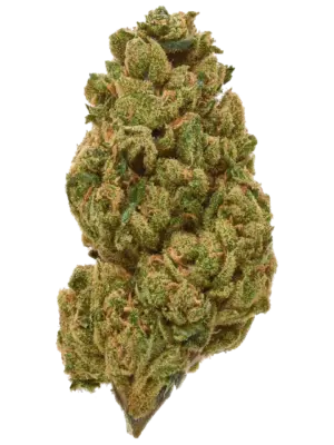Blüten Girl Scout Cookies, 1gr