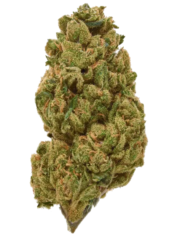 Blüten Girl Scout Cookies, 1gr