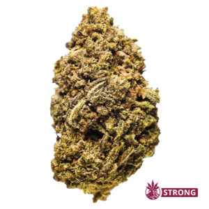 Dense cannabis bud with frosty trichomes and orange pistils, close-up image with a Strong logo in the corner.