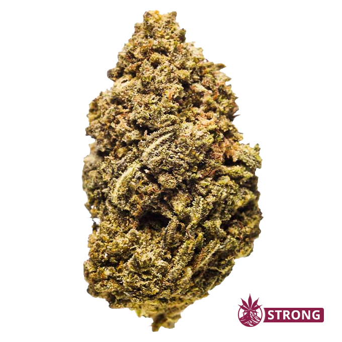 Dense cannabis bud with frosty trichomes and orange pistils, close-up image with a Strong logo in the corner.