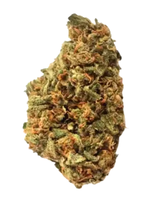 Blüten CBD Amnesia, 1gr