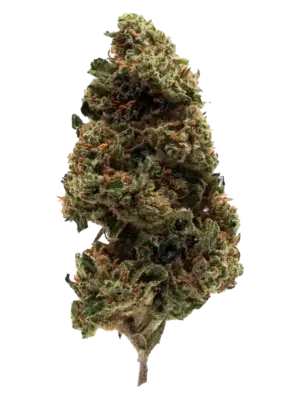 Blüten CBD Zkittlez, 1gr