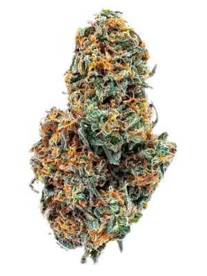Blüten CBD Blueberry, 1gr