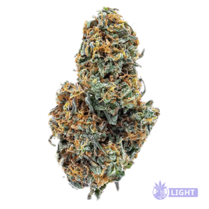 Dried cannabis bud with frosty trichomes and orange hairs.
