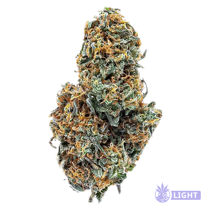Dried cannabis bud with frosty trichomes and orange hairs.