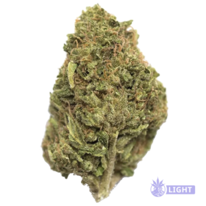 Close-up of a frosty green cannabis bud with orange hairs and dense trichomes.