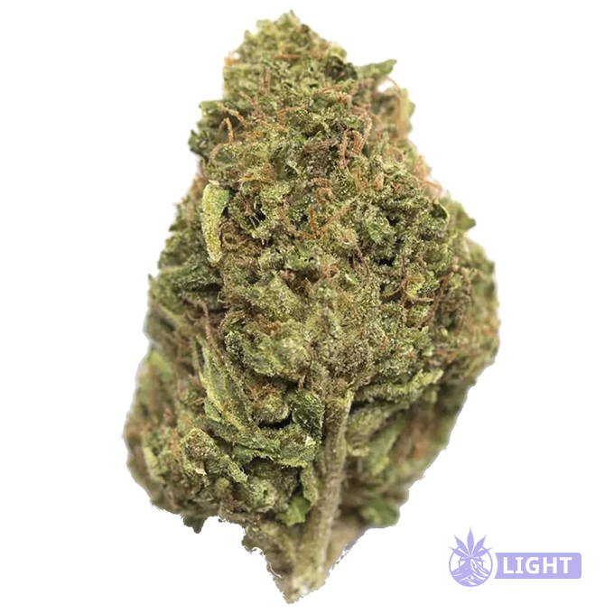 Close-up of a frosty green cannabis bud with orange hairs and dense trichomes.