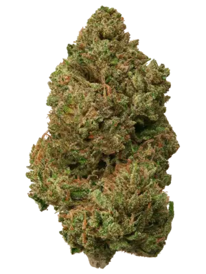 Blüten Zombie Kush, 1gr