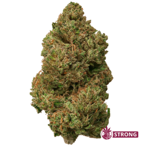 Dense cannabis bud with frosty trichomes and orange pistils, labeled STRONG (product image).