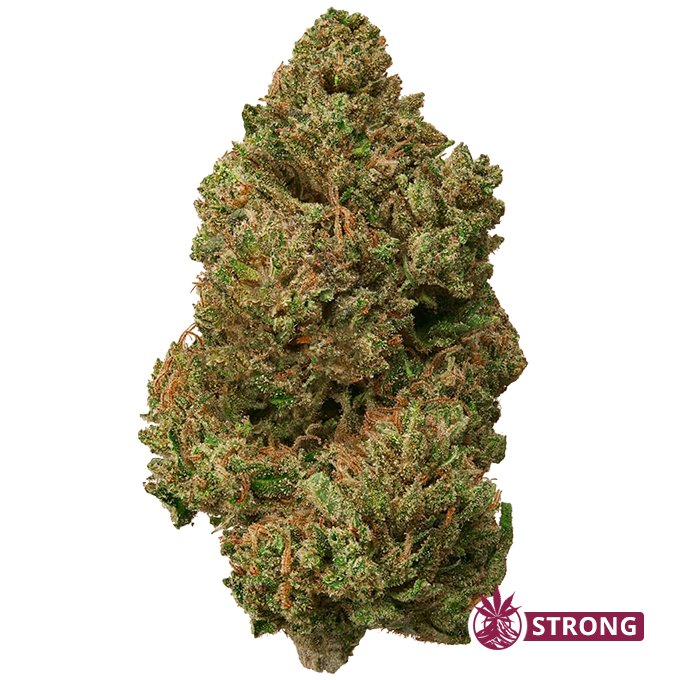 Dense cannabis bud with frosty trichomes and orange pistils, labeled STRONG (product image).