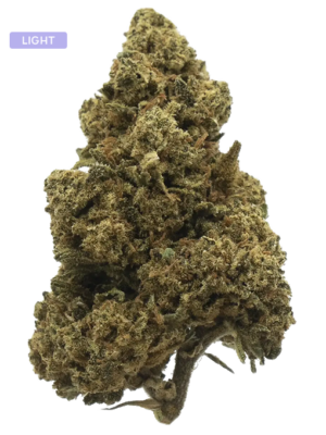 CBD-Blüten-Amnesia - Volcano Premium Herbstones Dense cannabis bud with frosty trichomes and orange hairs, placed on white background with a small lavender 'LIGHT' label