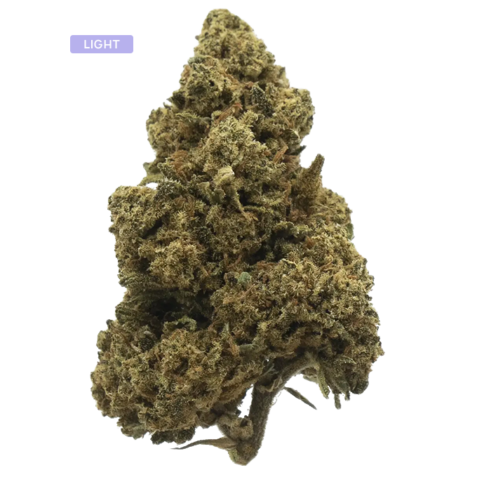Dense cannabis bud with frosty trichomes and orange hairs, placed on white background with a small lavender 'LIGHT' label