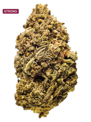Dense cannabis bud with frosty trichomes and orange hairs, labeled STRONG against a gray background.