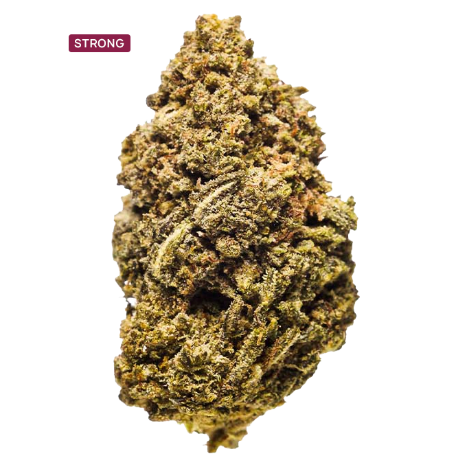 Dense cannabis bud with frosty trichomes and orange hairs, labeled STRONG against a gray background.