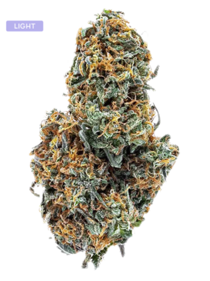 CBD-Blüten-Blueberry - Volcano Premium Herbstones Close-up of a cannabis bud with frosty trichomes and orange pistils.