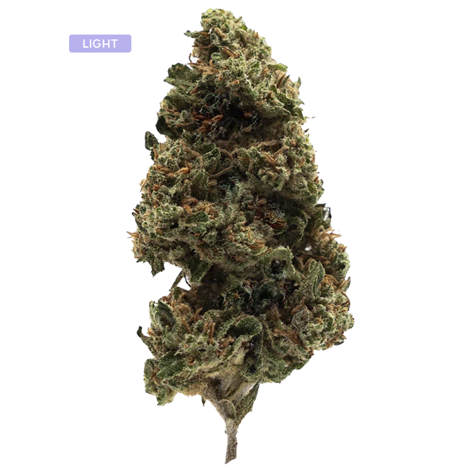 Cannabis bud with frosted trichomes and orange hairs, labeled LIGHT on a gray background