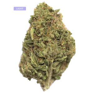 Close-up of a cannabis bud with frosty trichomes and green-orange pistils.