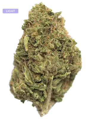 CBD-Blüten-Zushi - Volcano Premium Herbstones Close-up of a cannabis bud with frosty trichomes and green-orange pistils.