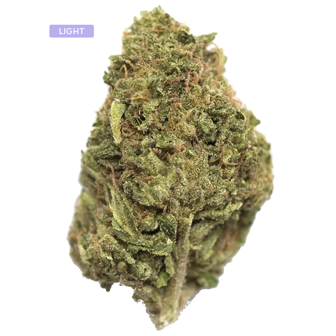 Close-up of a cannabis bud with frosty trichomes and green-orange pistils.